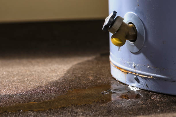 Best Flood restoration services  in Evansville, WI
