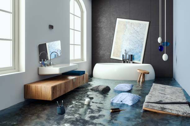 Best Emergency water damage restoration  in Evansville, WI