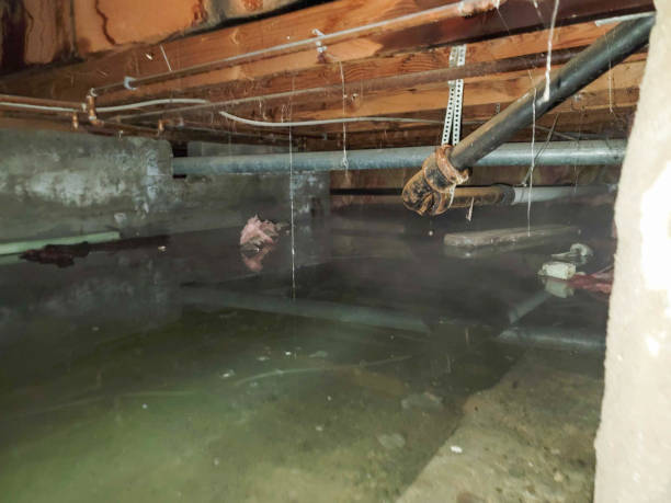 Best 24-hour water damage restoration  in Evansville, WI