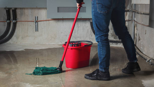 Best Ceiling water damage repair  in Evansville, WI