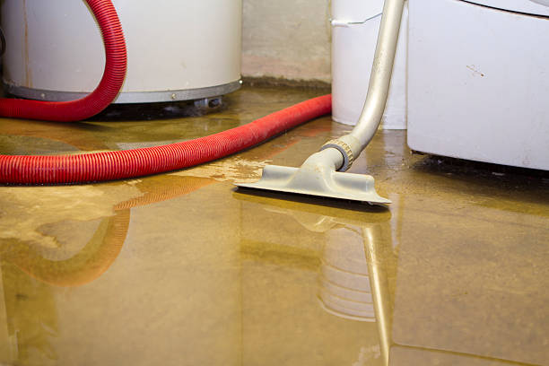 Best Water damage cleanup near me  in Evansville, WI
