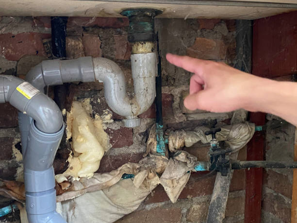 Best Basement water damage restoration  in Evansville, WI